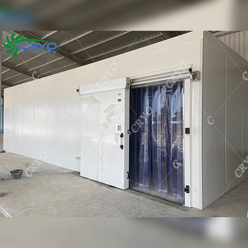 Blast Freezers