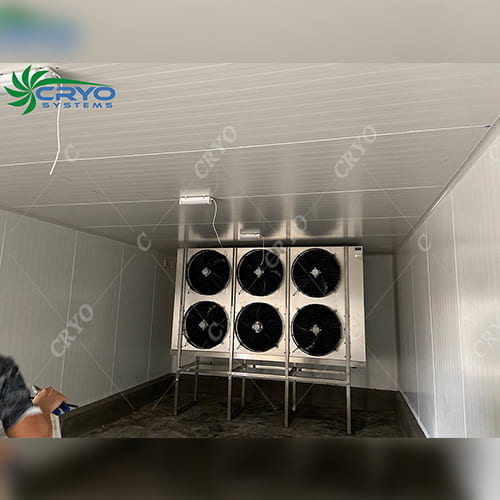 Blast Freezers
